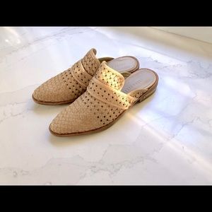 Freda Salvador Keen Mule in 7.5!